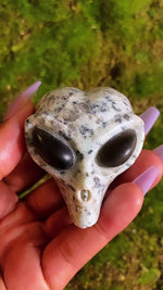 Load and play video in Gallery viewer, 7.5&quot; Inch Circumference Kiwi Jasper x Onyx Alien Head